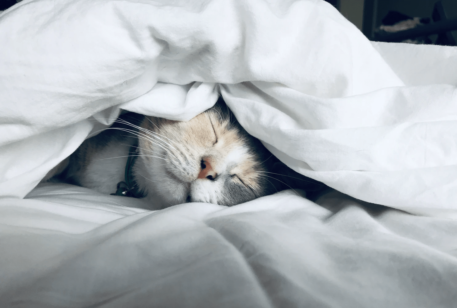 Five signs you might need to take a duvet day - Time4Sleep