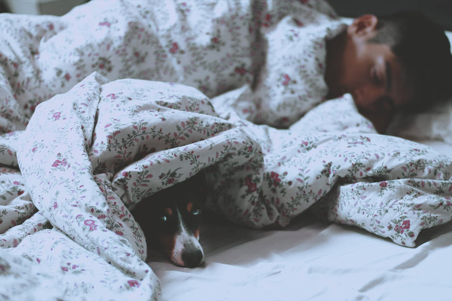 How to Keep Warm in Bed - Time4Sleep
