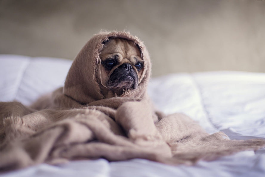 Sleep and Stress: How a Good Night's Rest Can Help - Time4Sleep