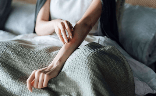 What are bed bugs and how can you reduce risk of infestation? - Time4Sleep