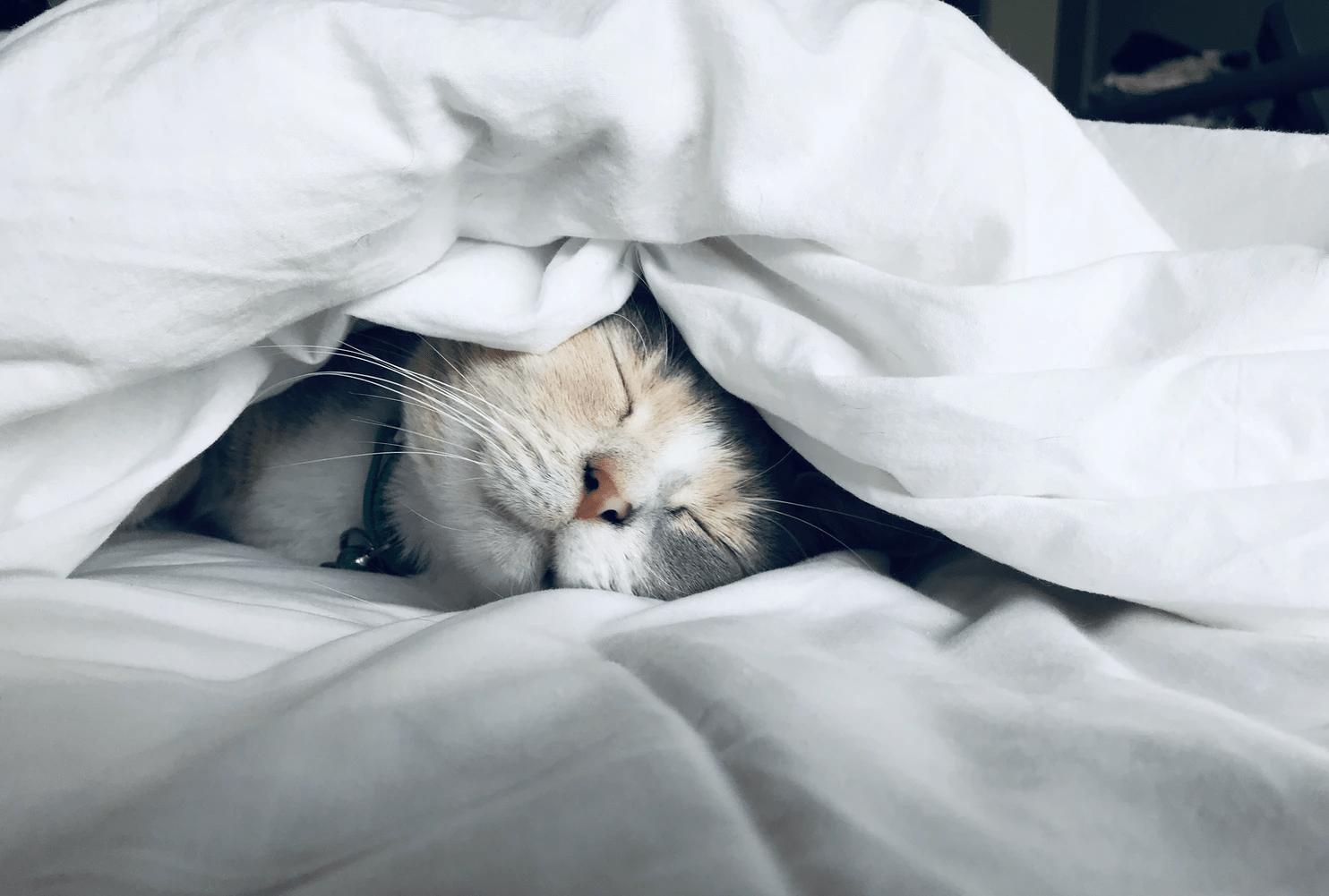 What is a duvet day and how to enjoy it - Time4Sleep
