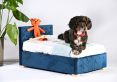 Store & Snore Plush Velvet Navy Doggy Ottoman