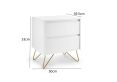 Sofia 2 Drawer Bedside White With Brass Steel Feet