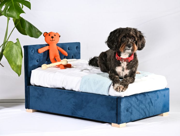 Store & Snore Plush Velvet Navy Doggy Ottoman