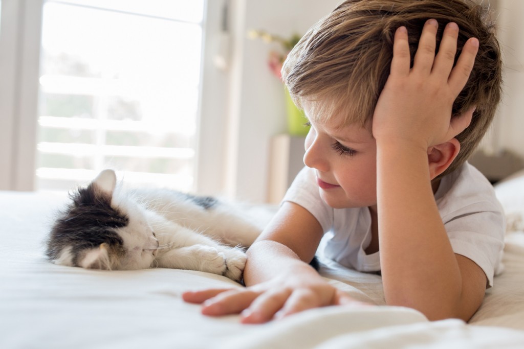 Small boy looking at his sleepy kitten.