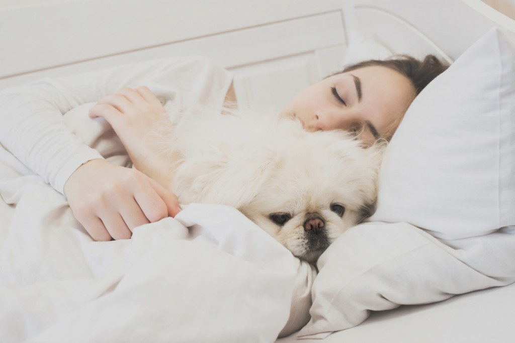 Girl and her dog in the bed.