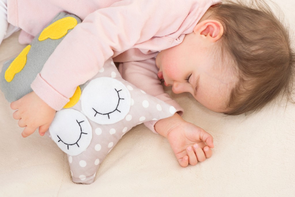 Portrait close-up of beautiful asleep baby girl, toddler with an owl toy
