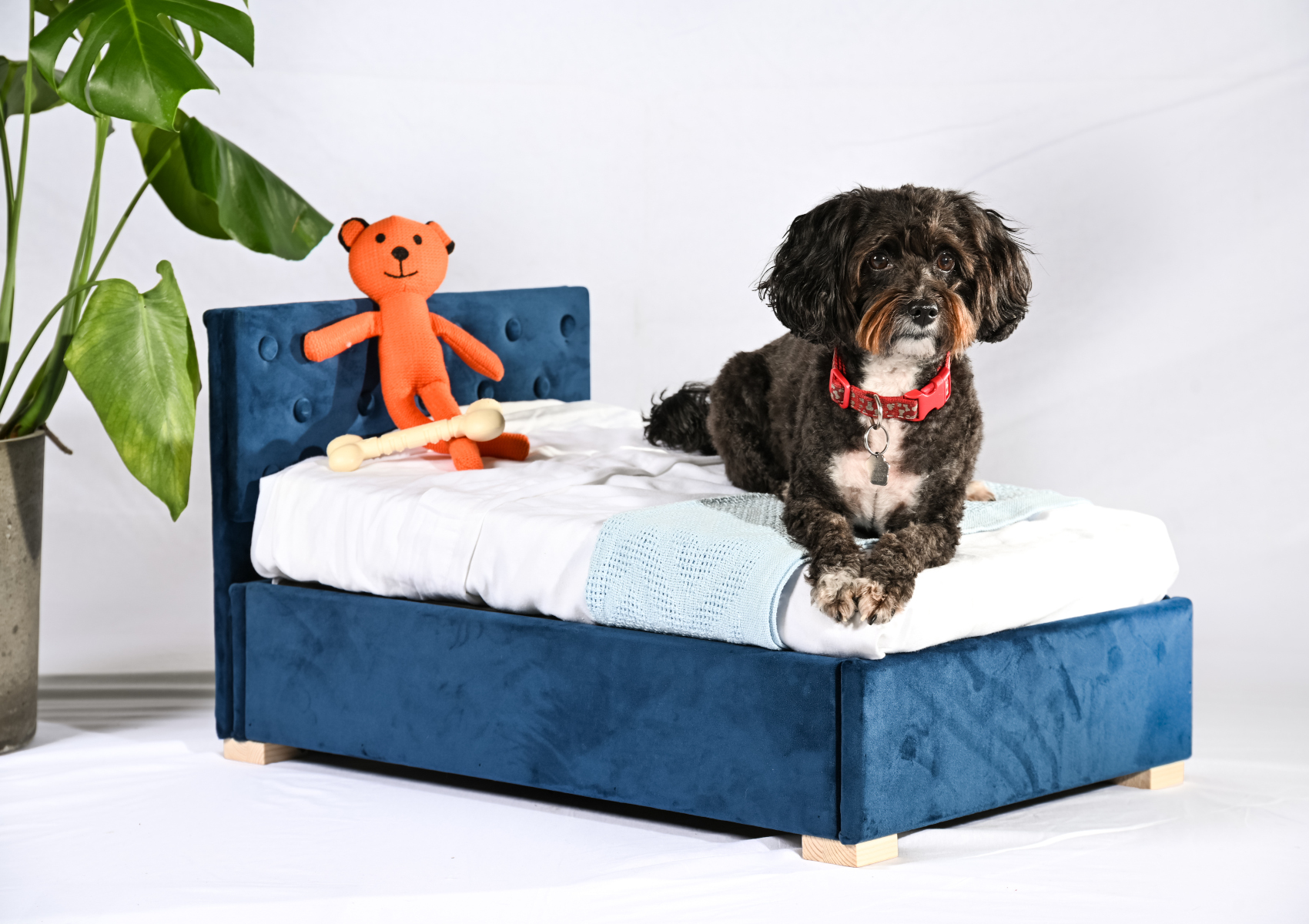View Store Snore Plush Velvet Navy Doggy Ottoman Time4Sleep information